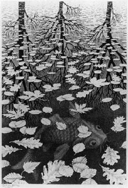 Etching of a Pond, with Reflected Trees, Floating Leaves, and a Swimming Fish.